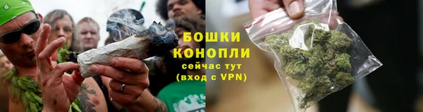 шишки Арсеньев