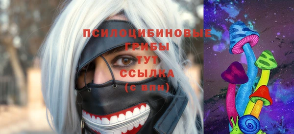 шишки Арсеньев