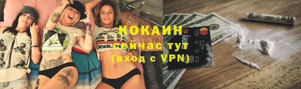 шишки Арсеньев