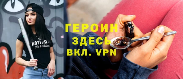 шишки Арсеньев