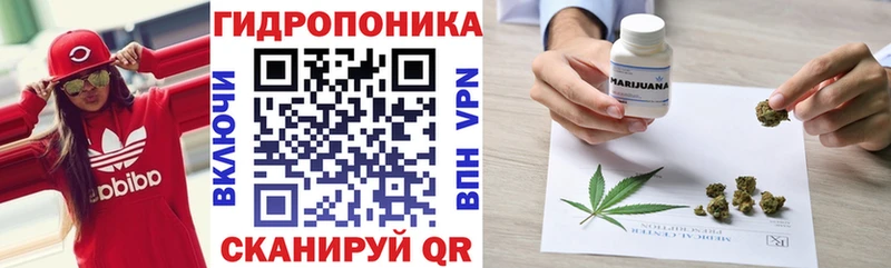 Бошки Шишки семена  omg как войти  Исилькуль  где продают наркотики 